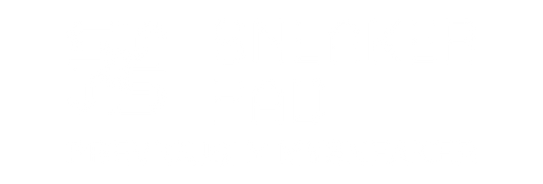 Sneaker Pad